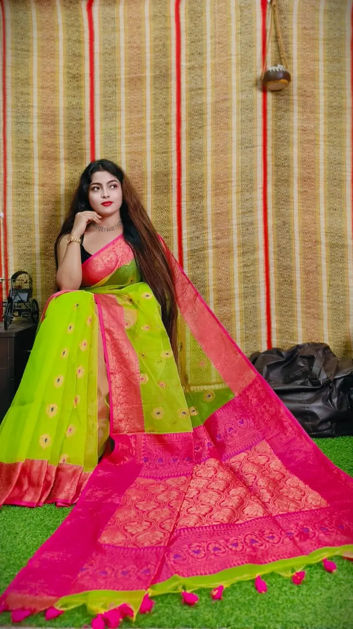 Minakari muslin banarasi saree Putul's fashion