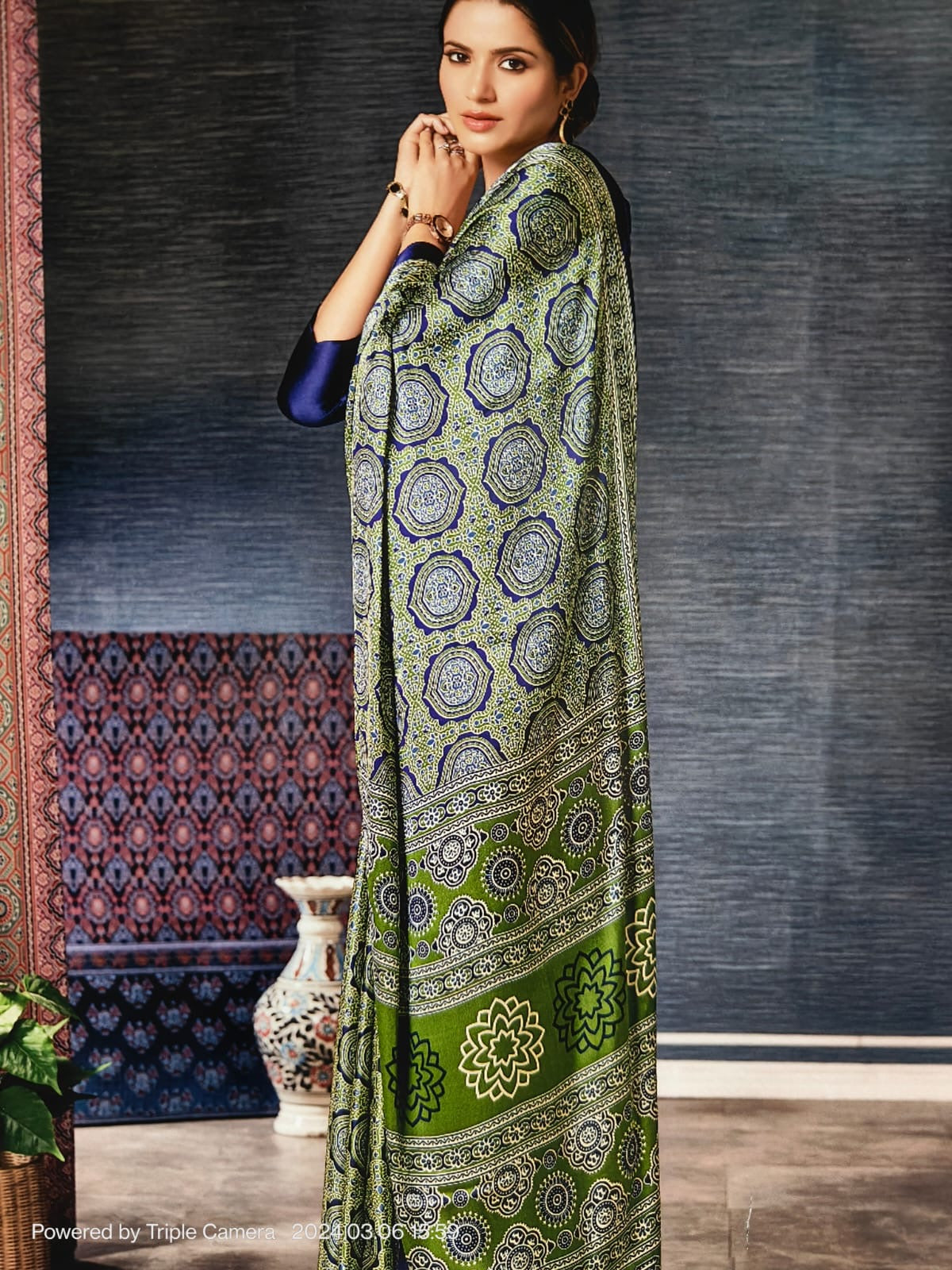 Semi modal ajrakh printed saree - 5