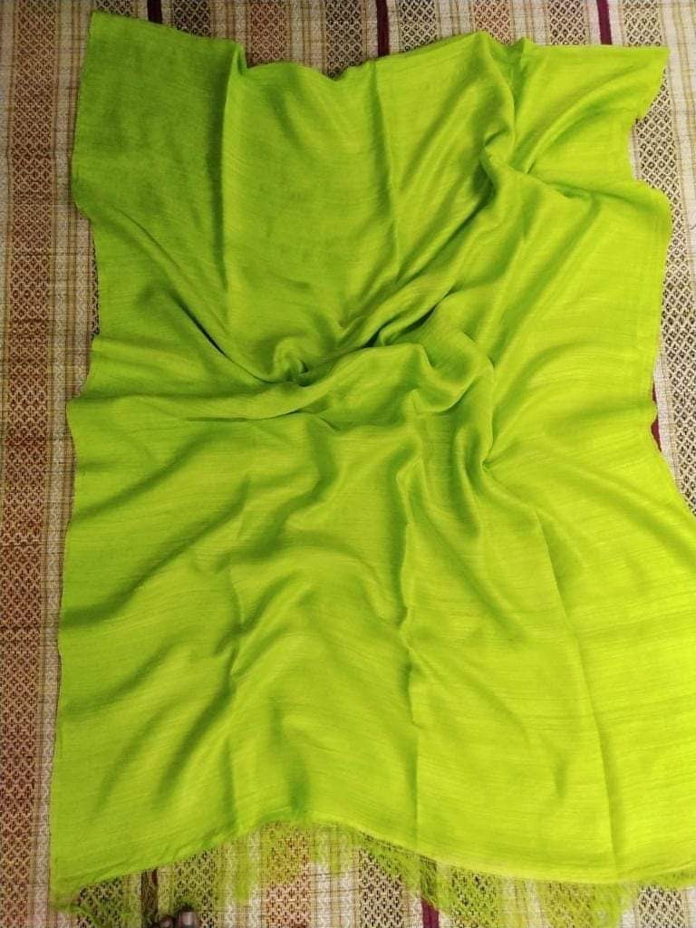 Wash motka than saree from Bengal silk mark certified - Green